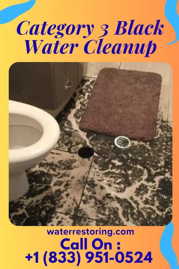 Category 3 Black Water Cleanup in Gould, AR
